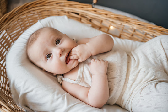 Classic Baby Launger